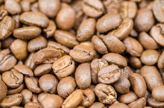 Explore the World of Coffee: From Bean Origins to Rich Aromas