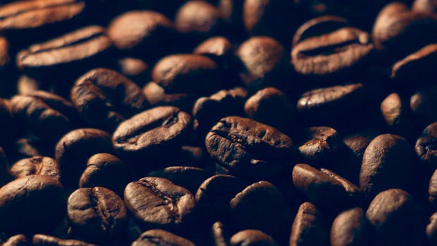 Discover the Rich Benefits of Specialty Coffee: Why It's Worth the Price