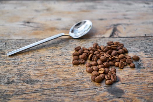 Master Your Morning: How to Select Coffee Beans That Elevate Your Brew