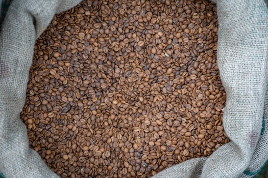 Unveiling the True Value of Specialty Coffee: Taste, Ethics, & Impact