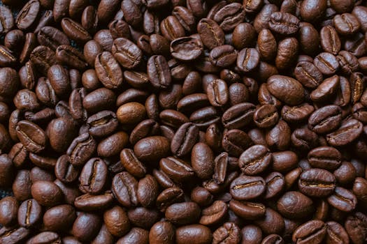 From Farm to Your Cup: Unveiling the Fascinating Coffee Bean Journey