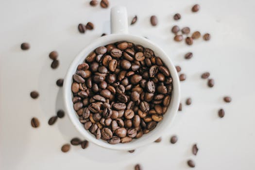 Explore the Complex World of Coffee: The Essential Guide to Cupping